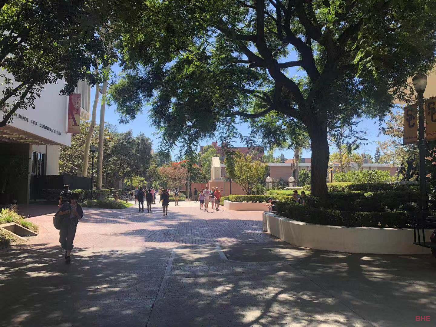 全美Top50大学GPA入学要求，你达标了么？